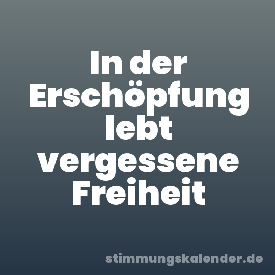 In der Erschöpfung lebt vergessene Freiheit