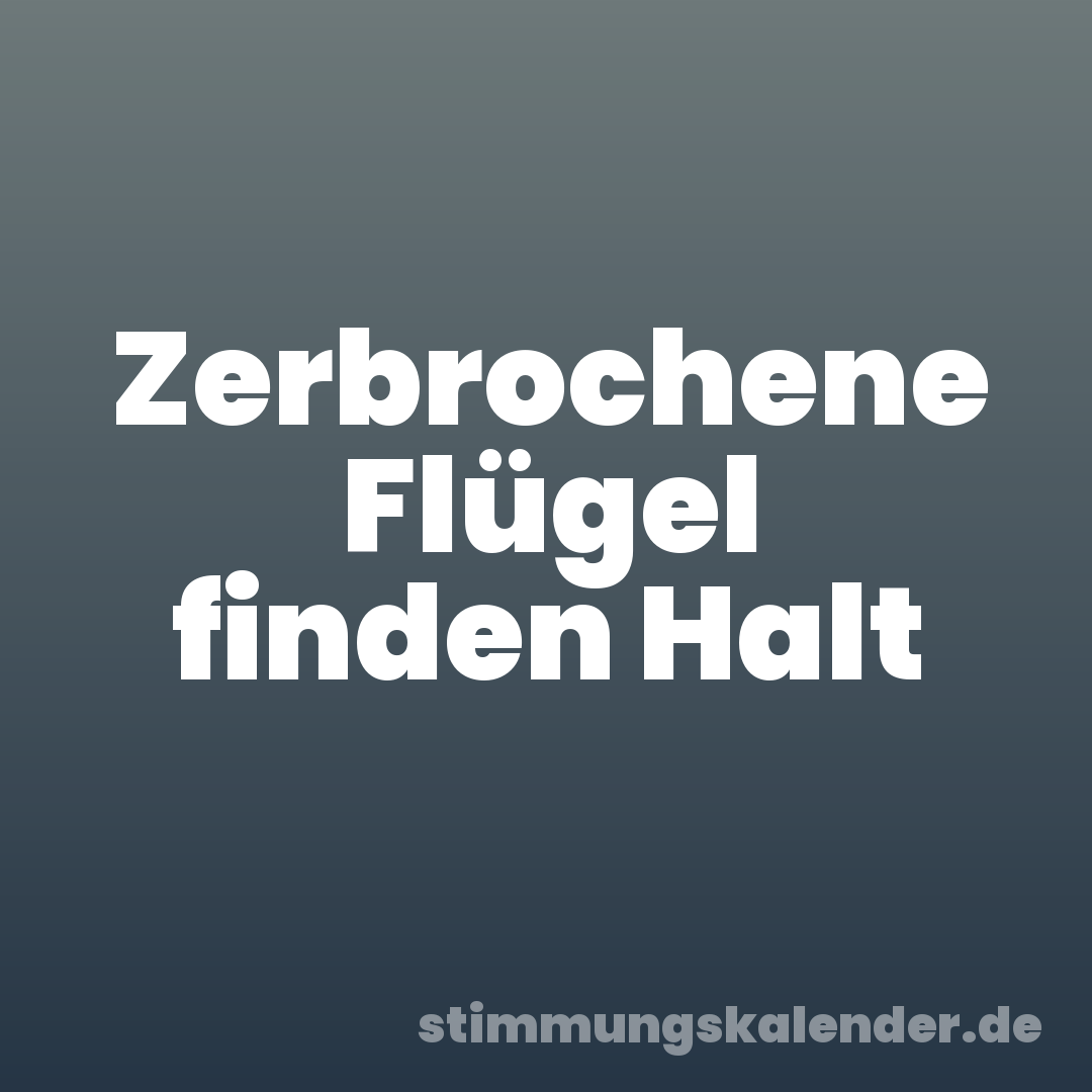 Zerbrochene Flügel finden Halt