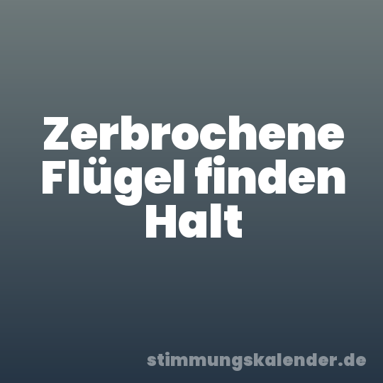 Zerbrochene Flügel finden Halt