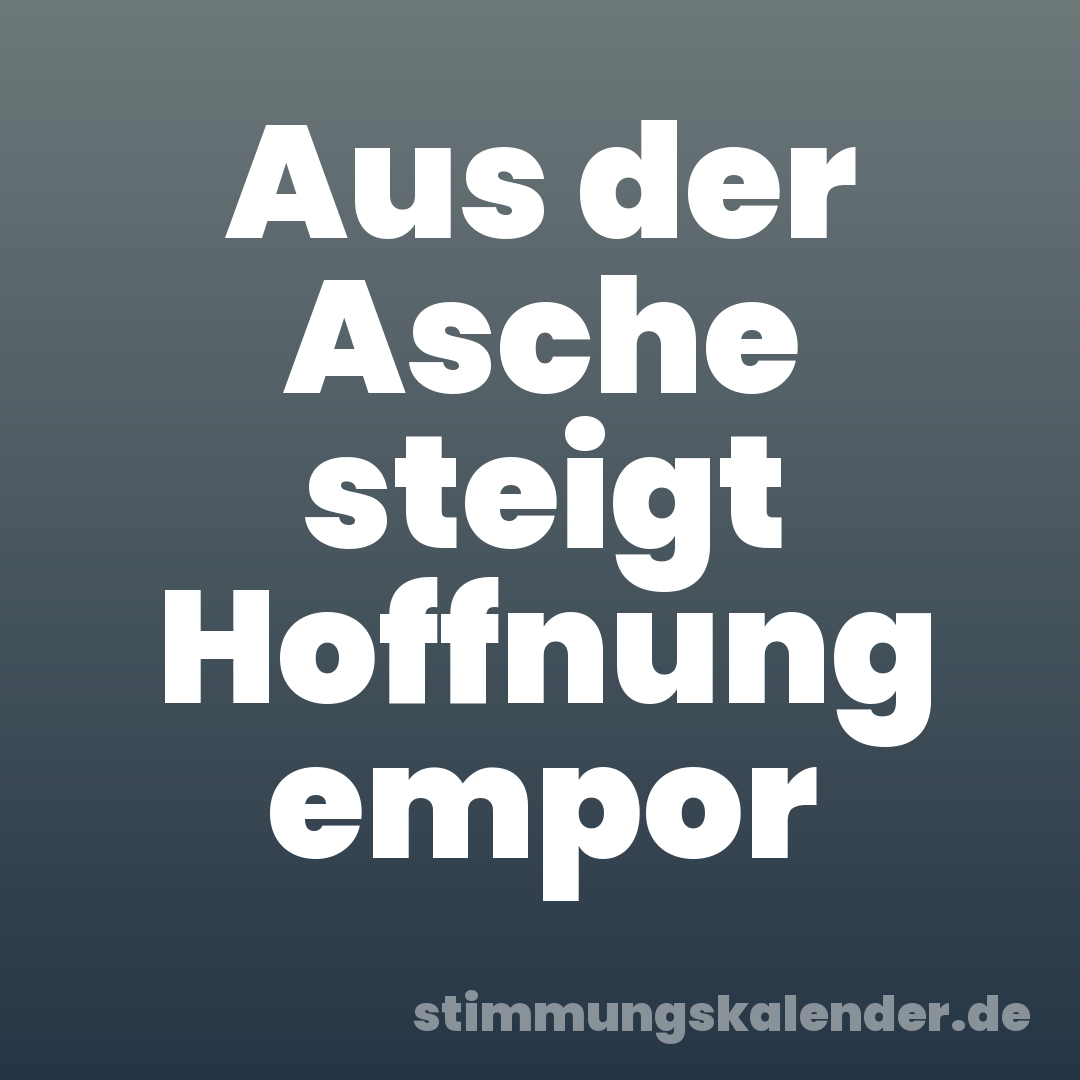 Aus der Asche steigt Hoffnung empor