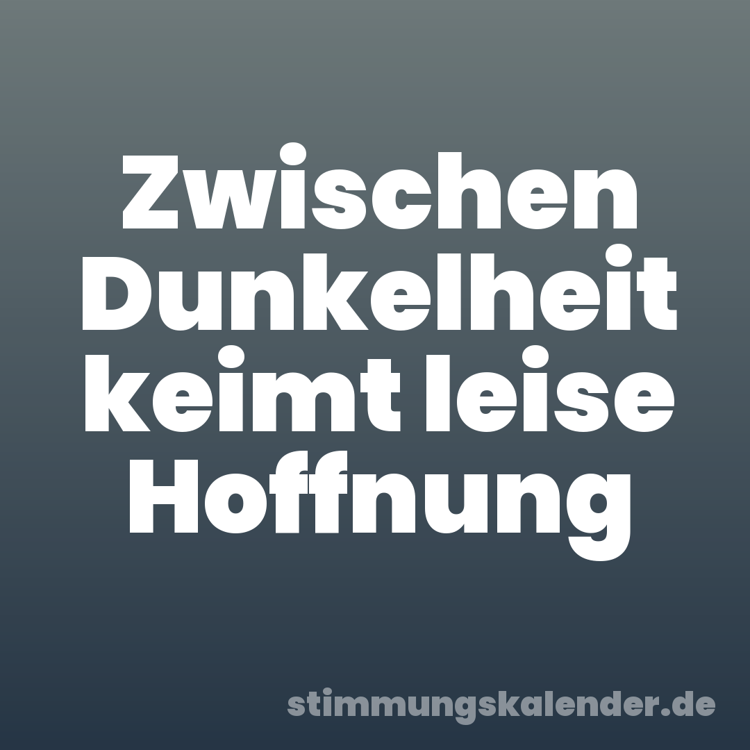 Zwischen Dunkelheit keimt leise Hoffnung