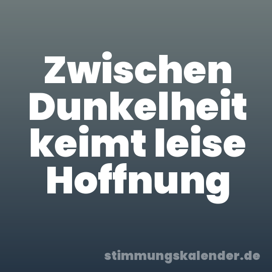 Zwischen Dunkelheit keimt leise Hoffnung