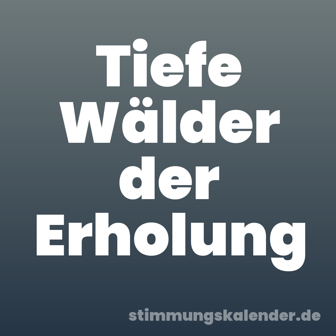 Tiefe Wälder der Erholung