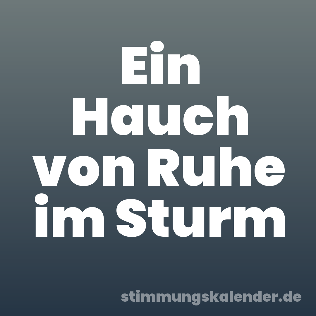 Ein Hauch von Ruhe im Sturm