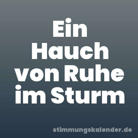 Ein Hauch von Ruhe im Sturm