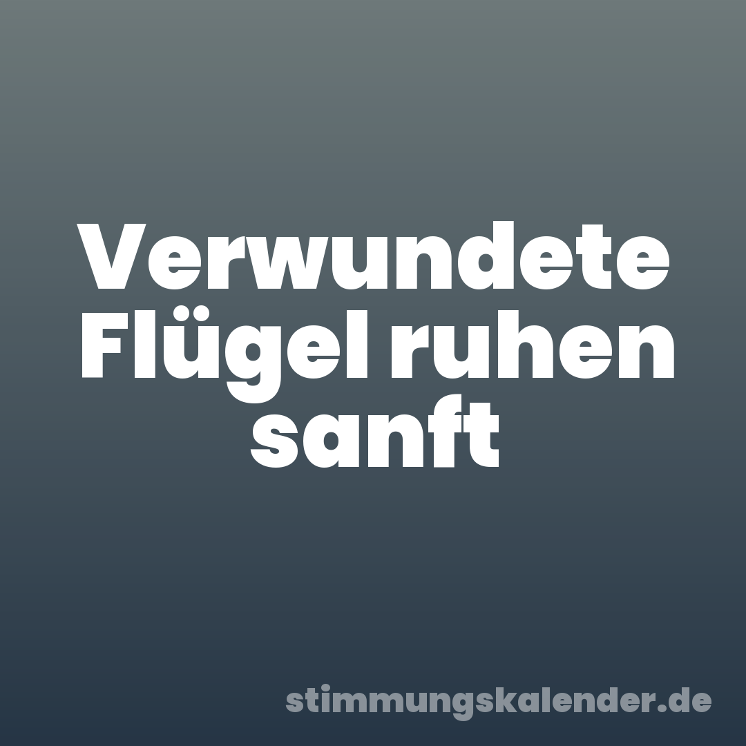 Verwundete Flügel ruhen sanft
