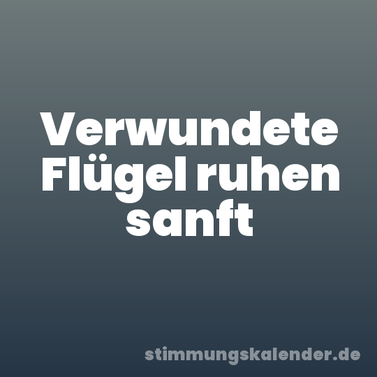 Verwundete Flügel ruhen sanft