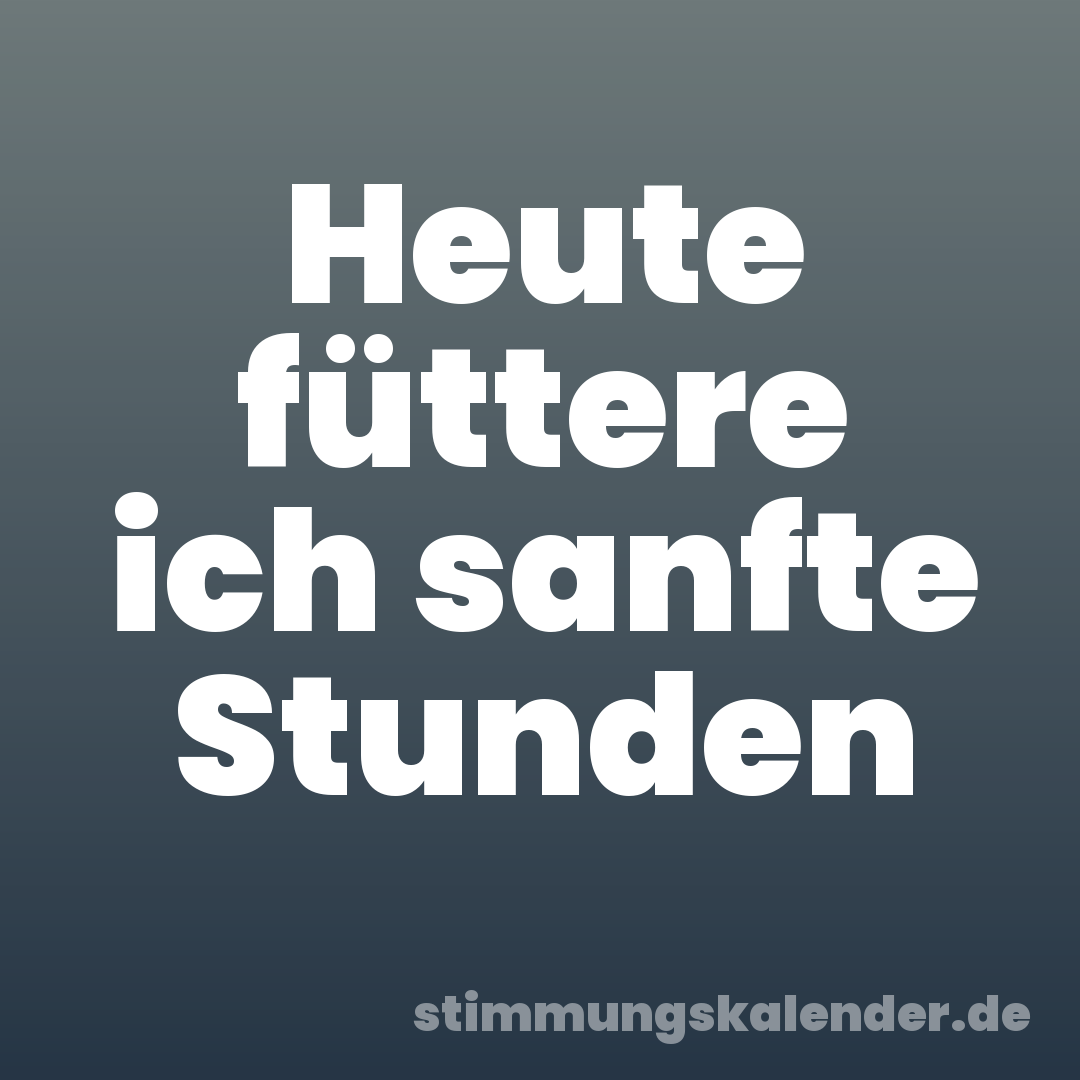Heute füttere ich sanfte Stunden