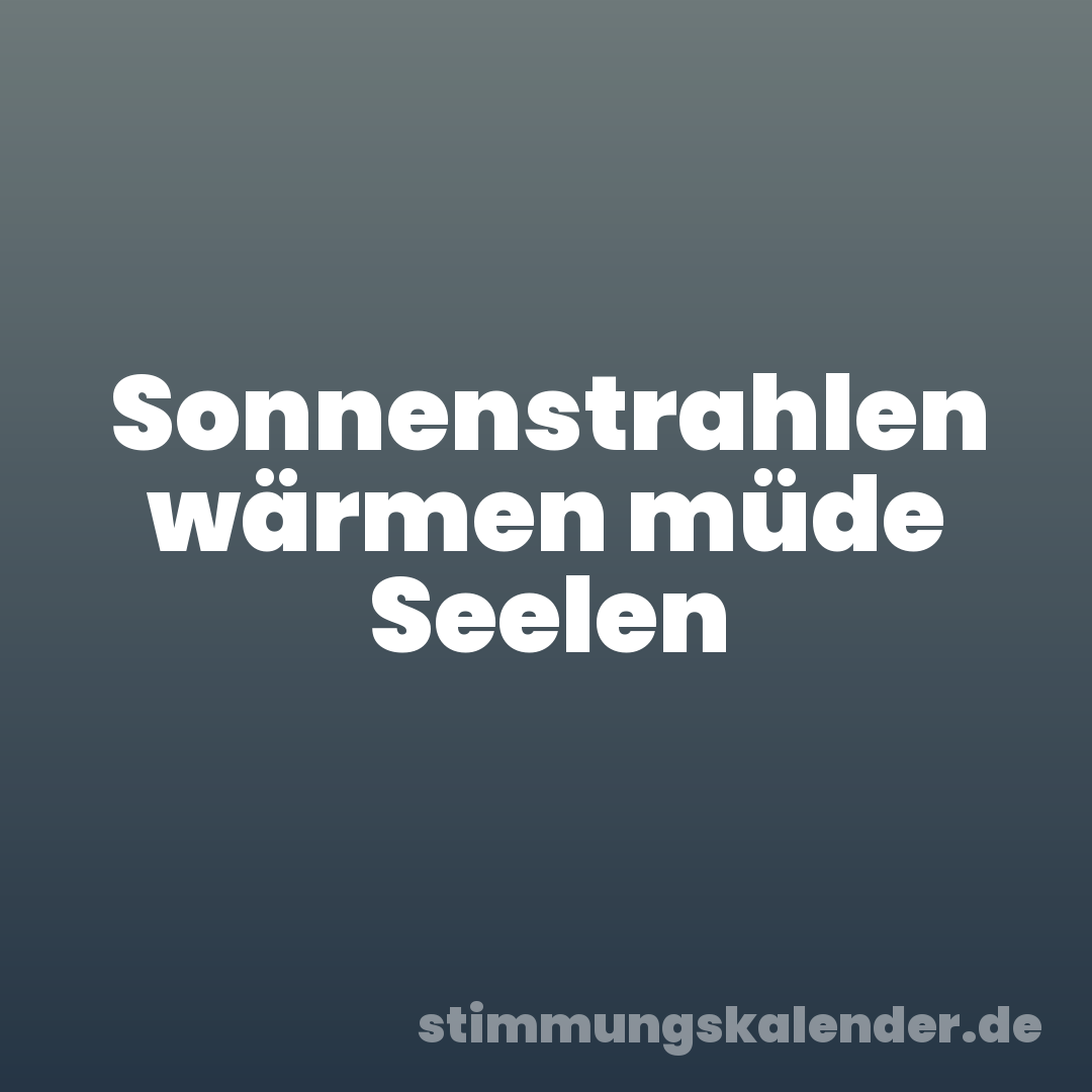 Sonnenstrahlen wärmen müde Seelen