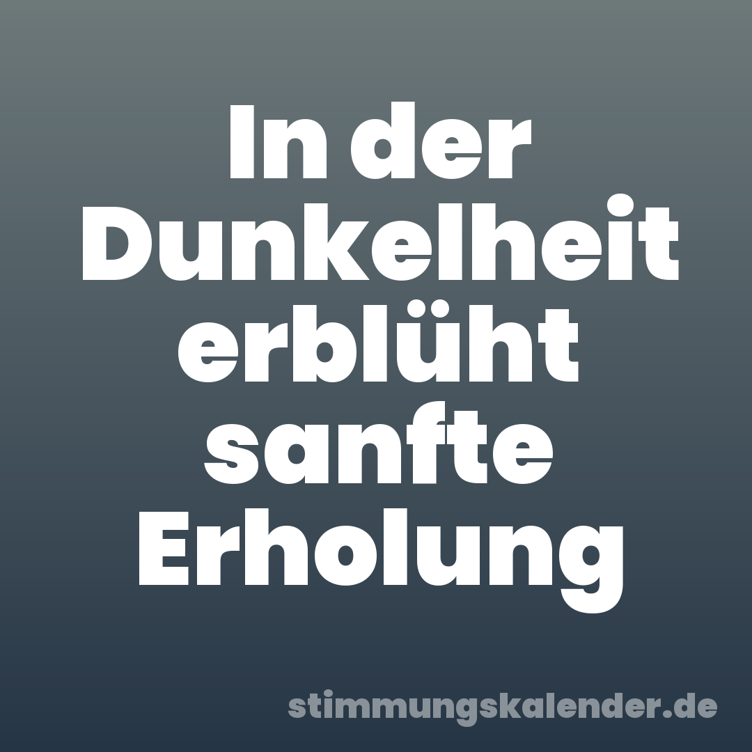 In der Dunkelheit erblüht sanfte Erholung