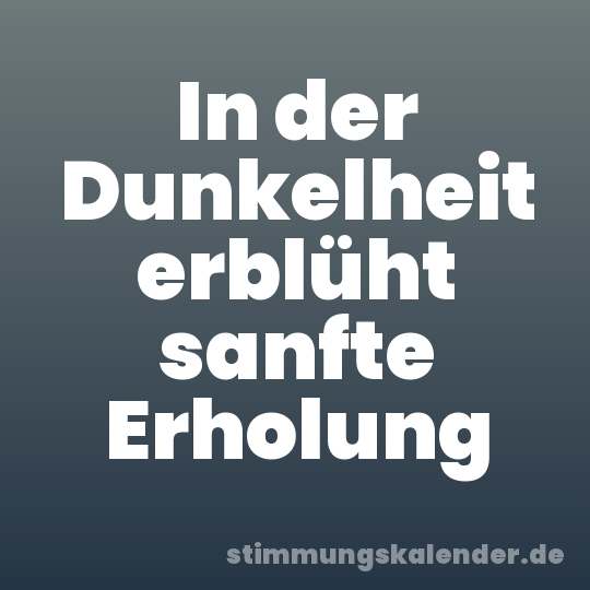 In der Dunkelheit erblüht sanfte Erholung