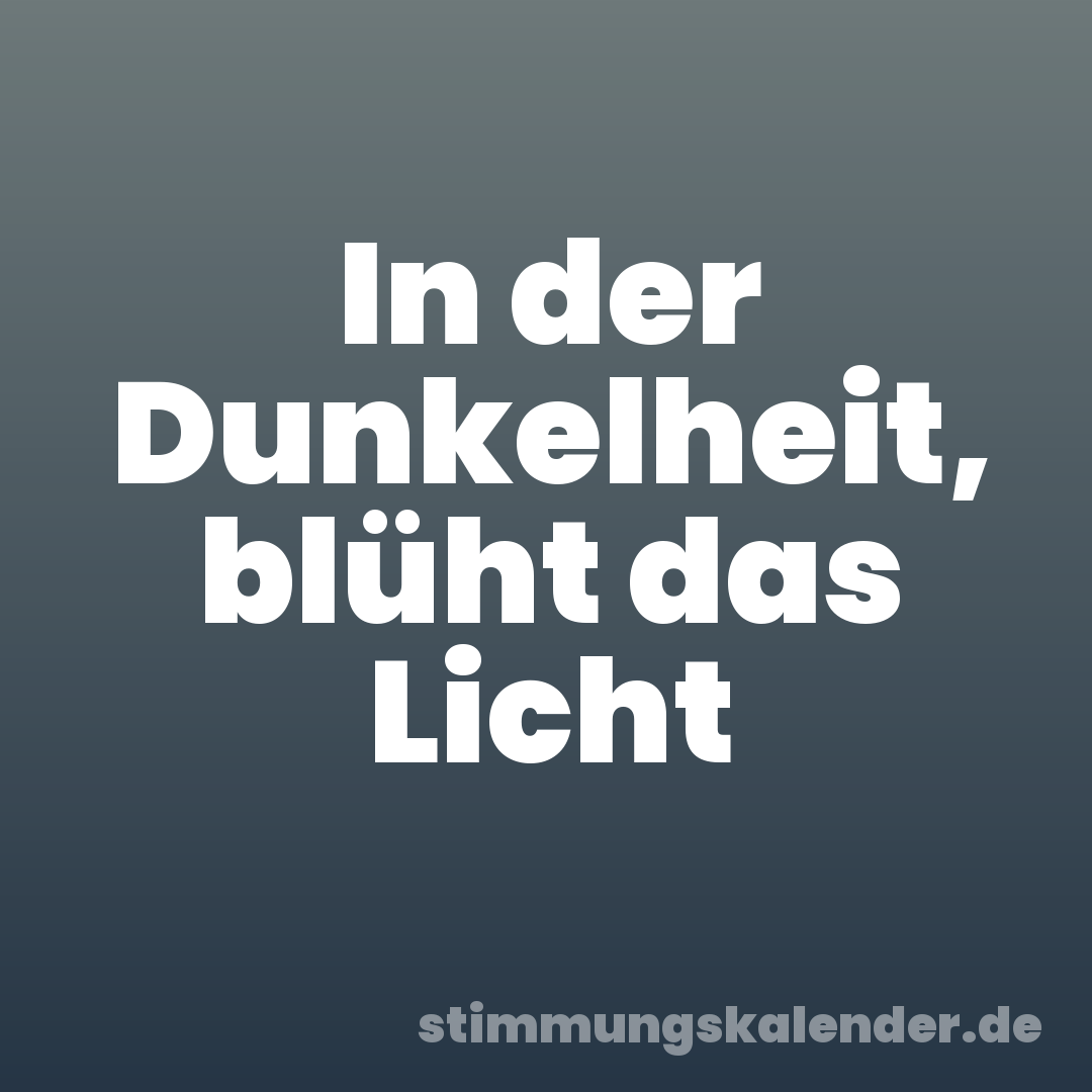 In der Dunkelheit, blüht das Licht