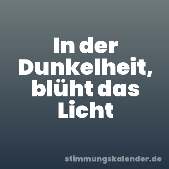 In der Dunkelheit, blüht das Licht