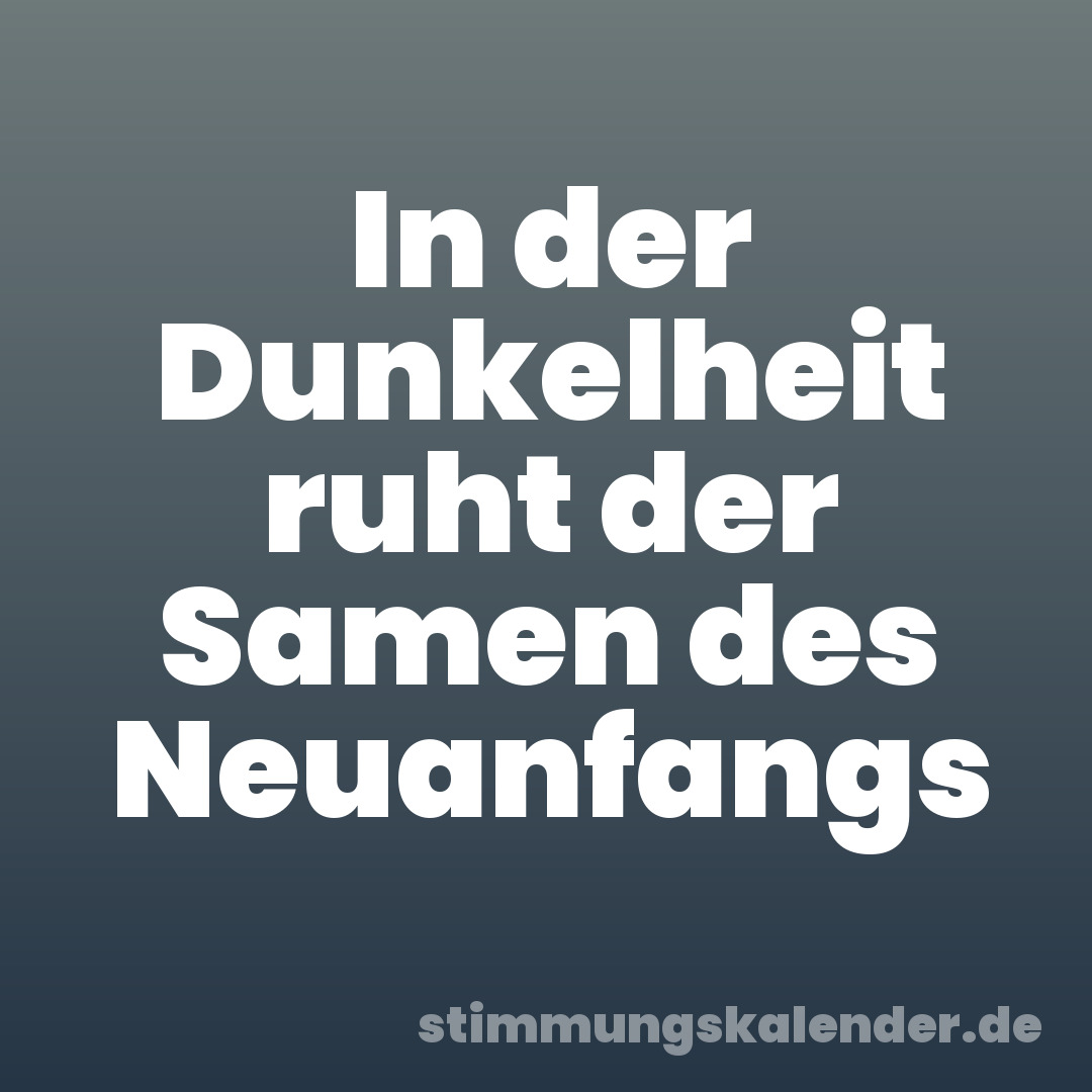 In der Dunkelheit ruht der Samen des Neuanfangs
