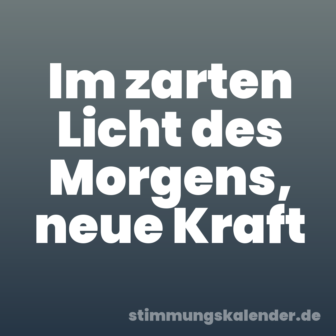 Im zarten Licht des Morgens, neue Kraft