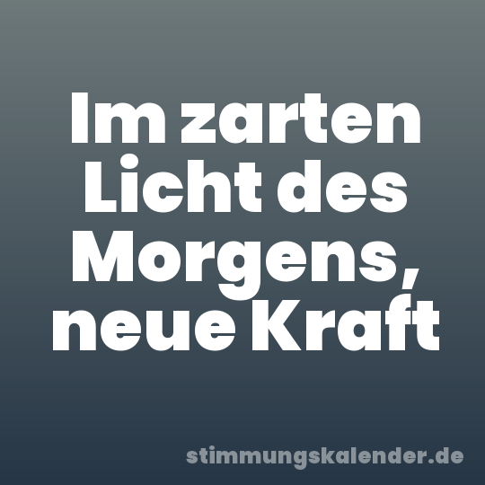 Im zarten Licht des Morgens, neue Kraft