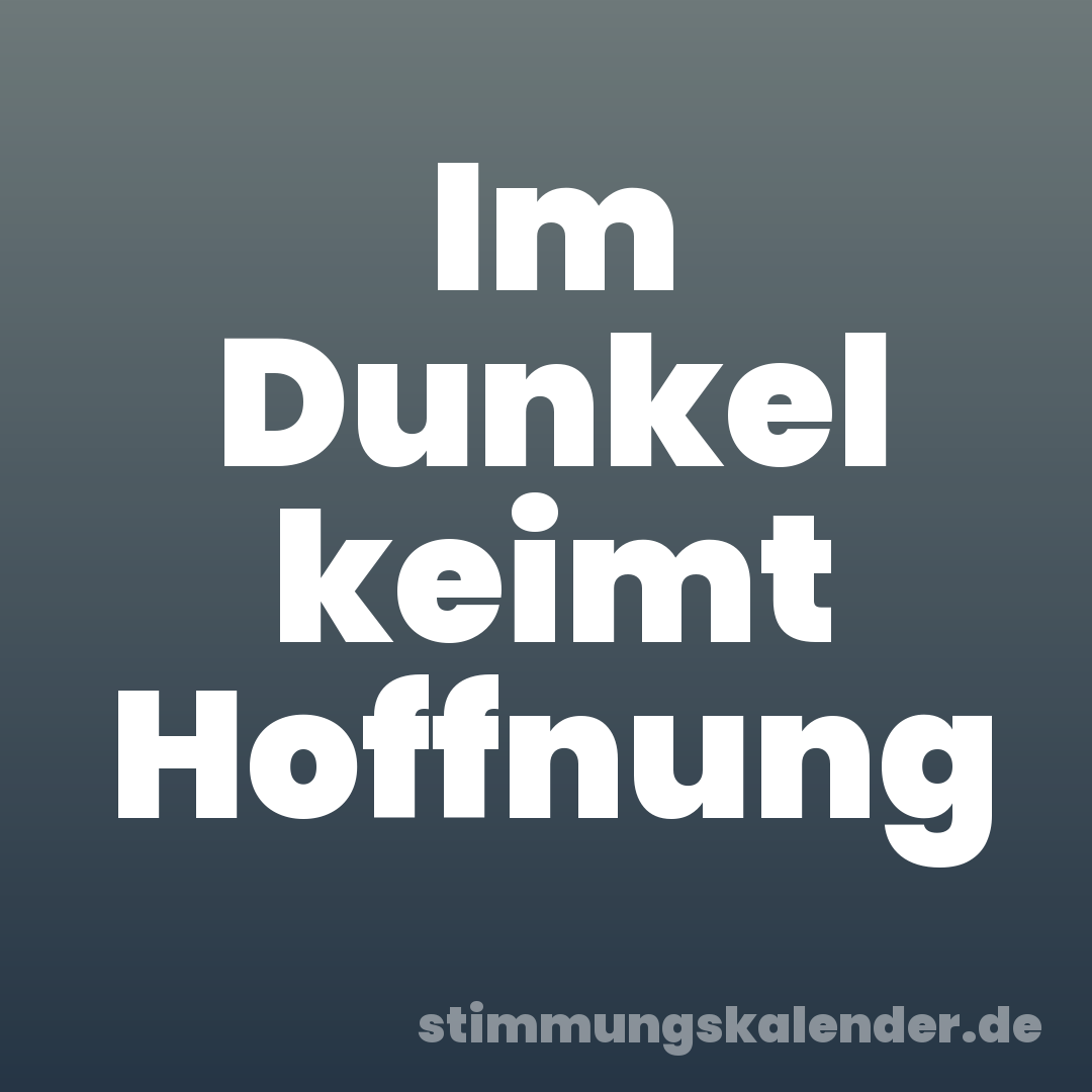 Im Dunkel keimt Hoffnung