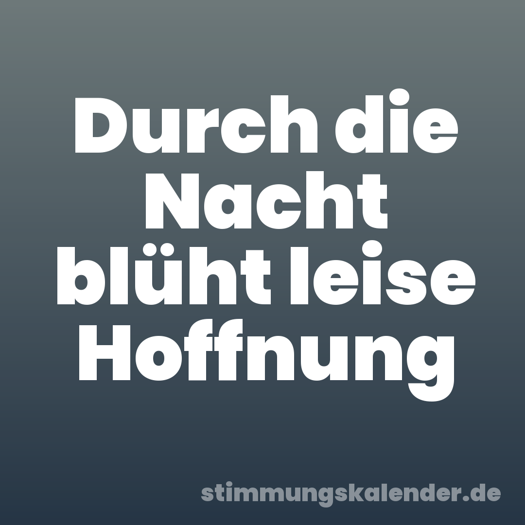 Durch die Nacht blüht leise Hoffnung