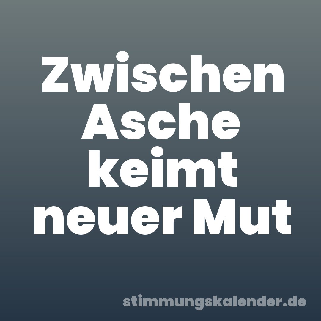 Zwischen Asche keimt neuer Mut