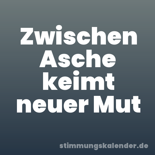 Zwischen Asche keimt neuer Mut