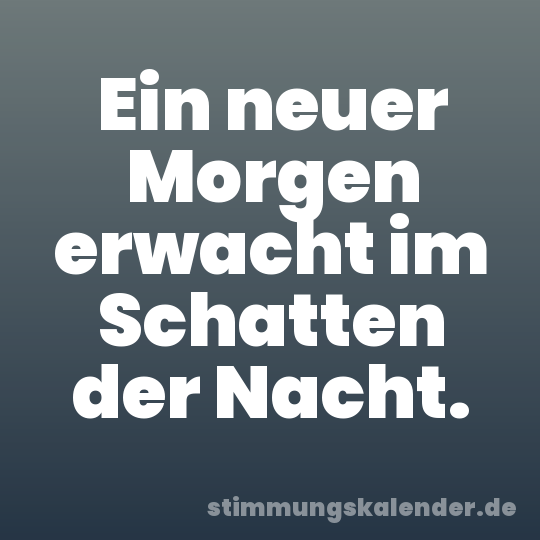 Ein neuer Morgen erwacht im Schatten der Nacht.