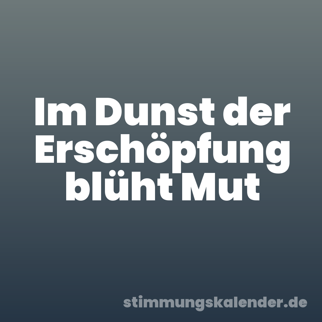 Im Dunst der Erschöpfung blüht Mut