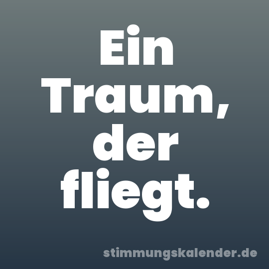 Ein Traum, der fliegt.