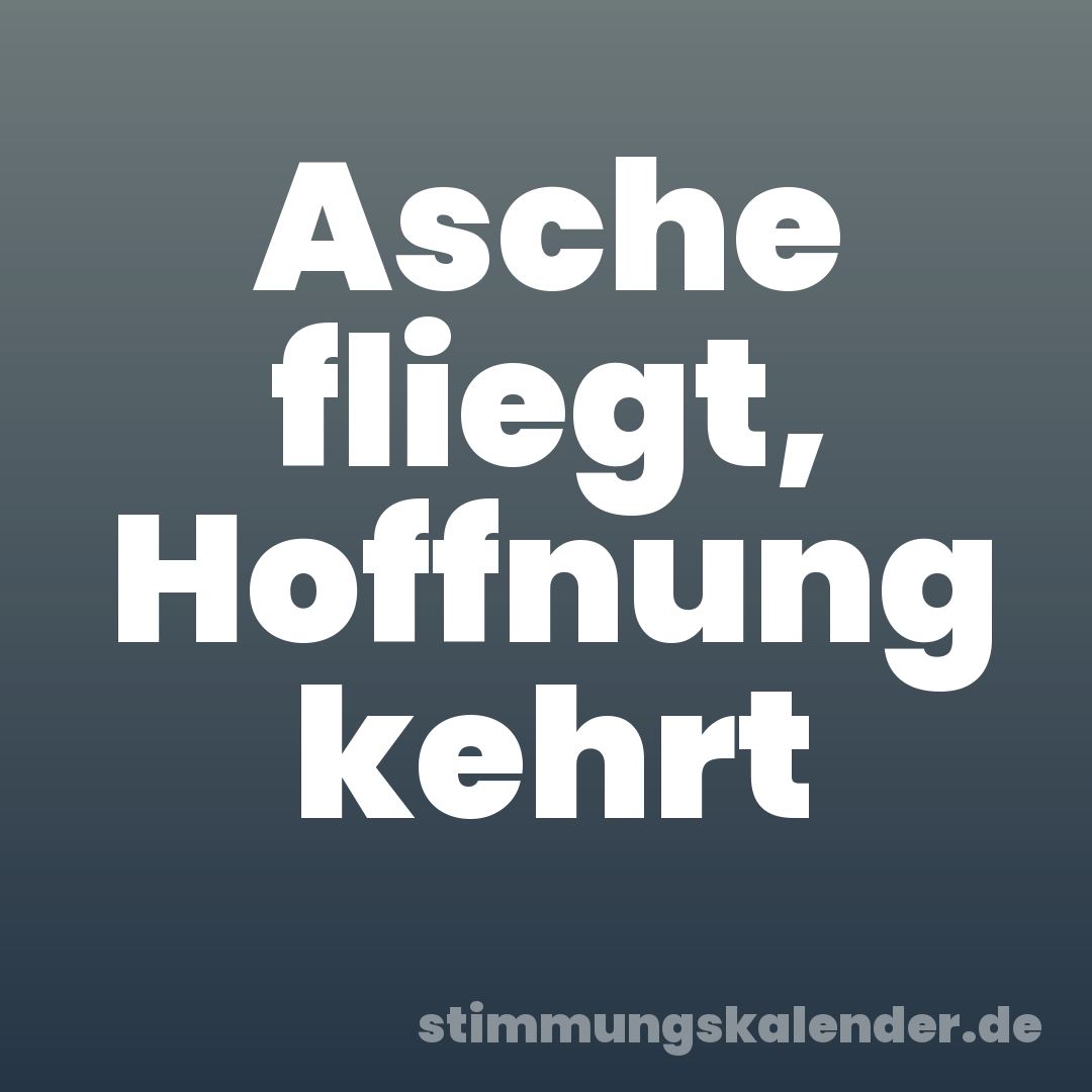 Asche fliegt, Hoffnung kehrt