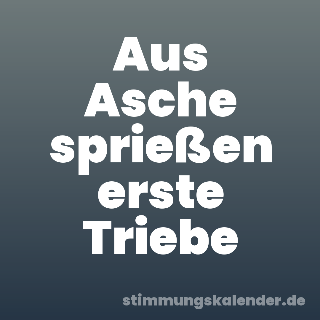 Aus Asche sprießen erste Triebe