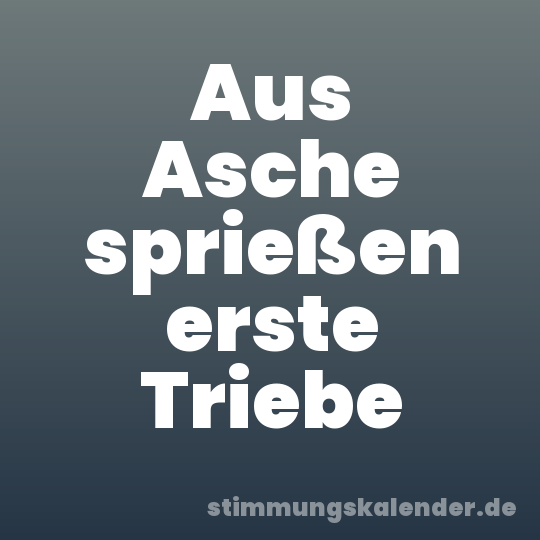 Aus Asche sprießen erste Triebe