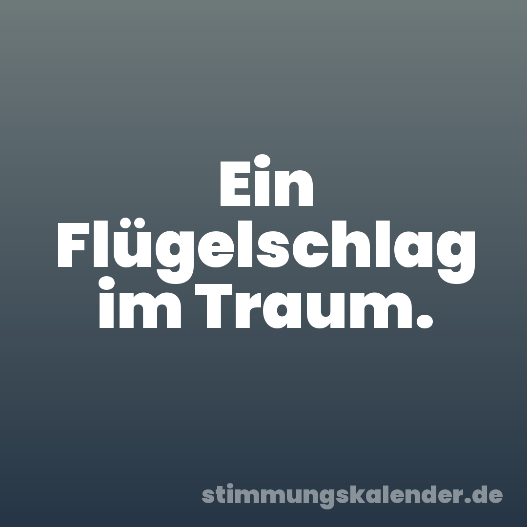 Ein Flügelschlag im Traum.
