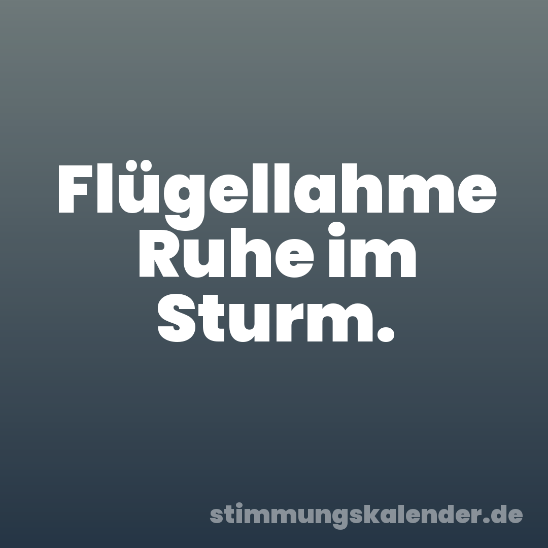 Flügellahme Ruhe im Sturm.