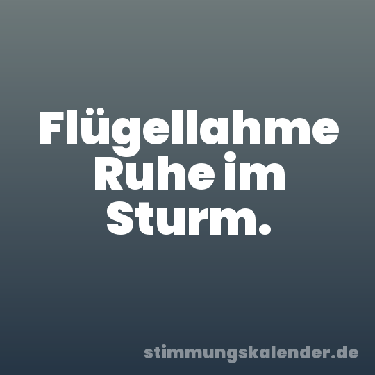 Flügellahme Ruhe im Sturm.