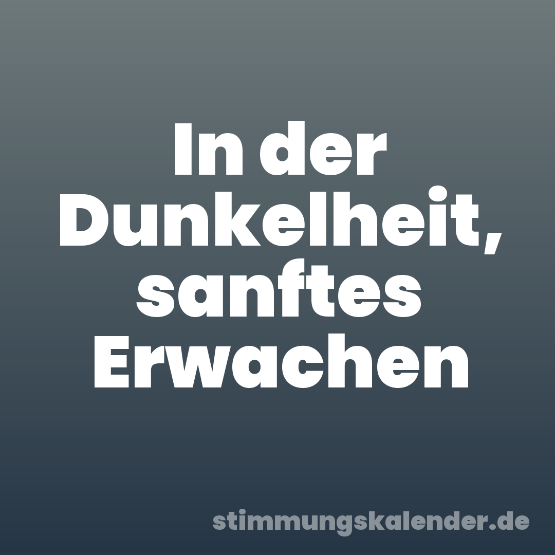 In der Dunkelheit, sanftes Erwachen