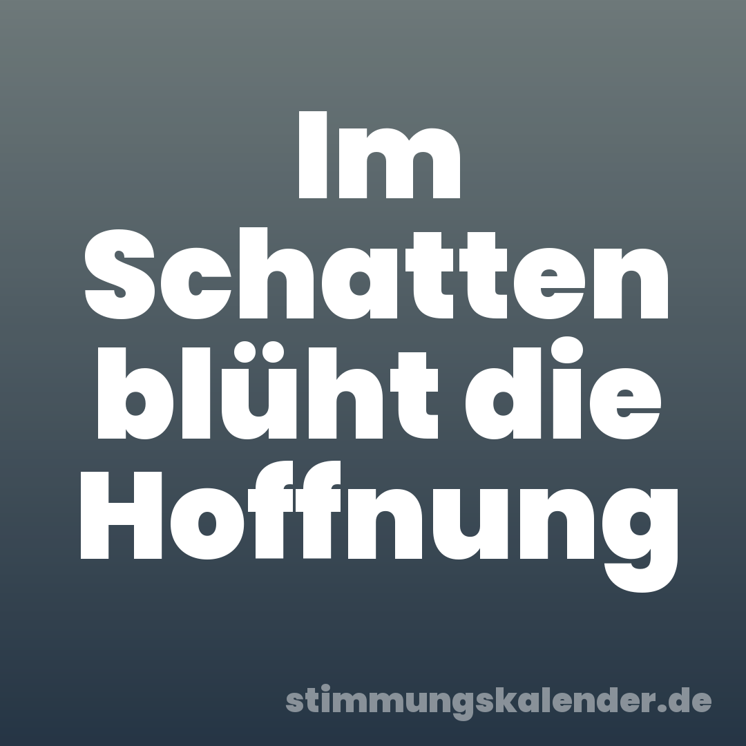 Im Schatten blüht die Hoffnung