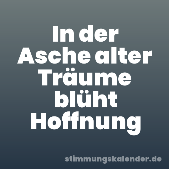 In der Asche alter Träume blüht Hoffnung