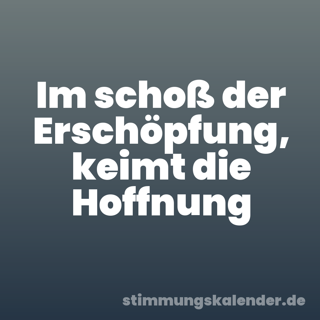 Im schoß der Erschöpfung, keimt die Hoffnung