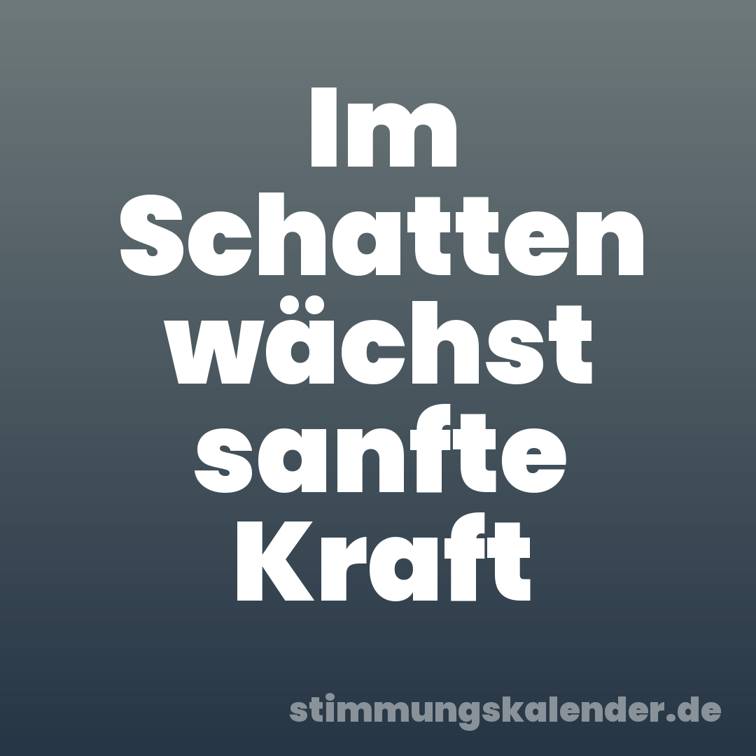 Im Schatten wächst sanfte Kraft