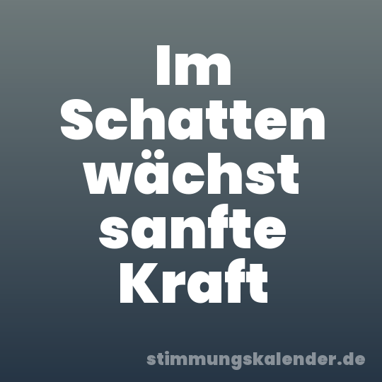 Im Schatten wächst sanfte Kraft