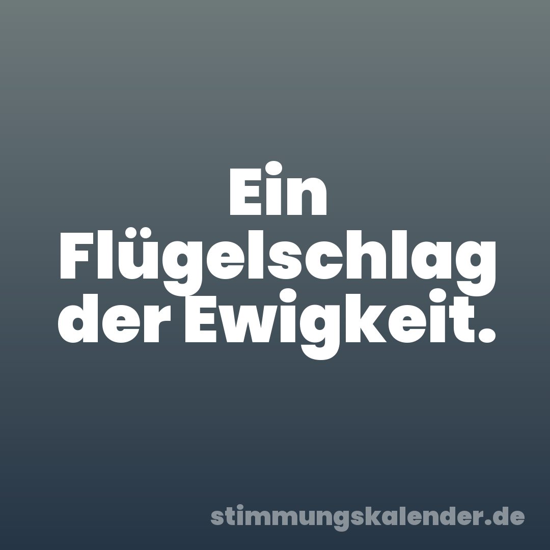 Ein Flügelschlag der Ewigkeit.
