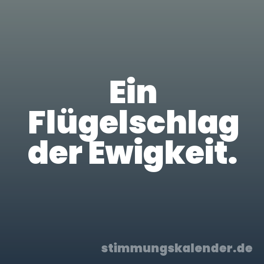 Ein Flügelschlag der Ewigkeit.