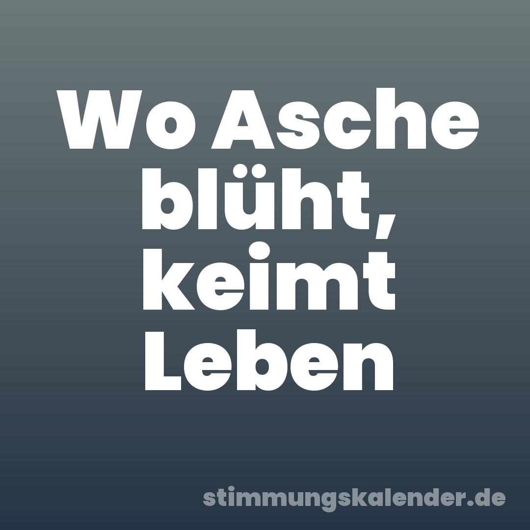 Wo Asche blüht, keimt Leben