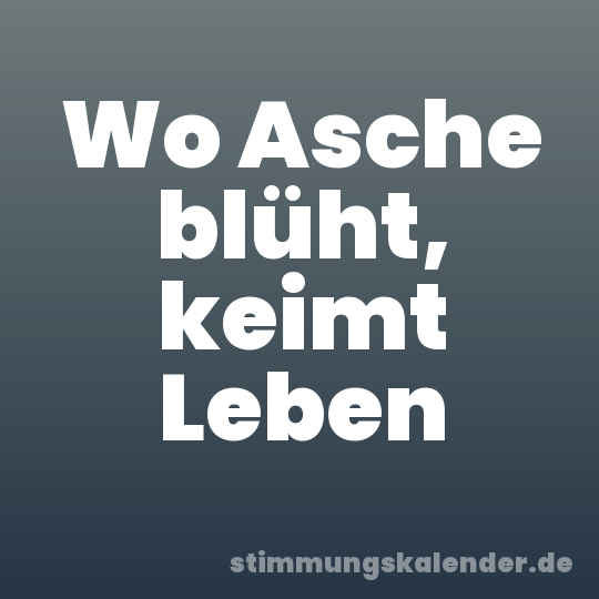 Wo Asche blüht, keimt Leben