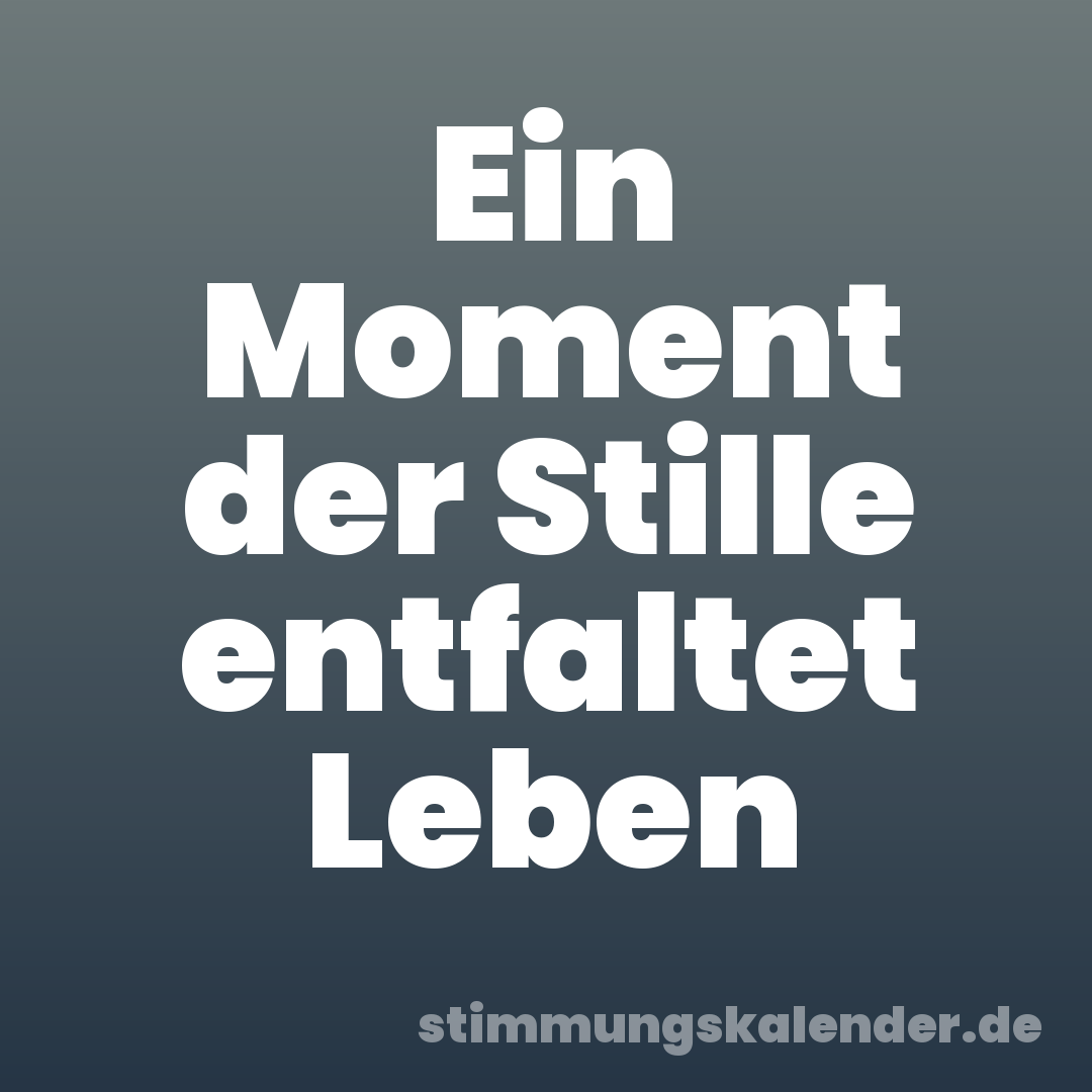 Ein Moment der Stille entfaltet Leben