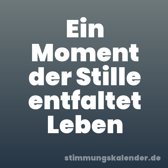 Ein Moment der Stille entfaltet Leben