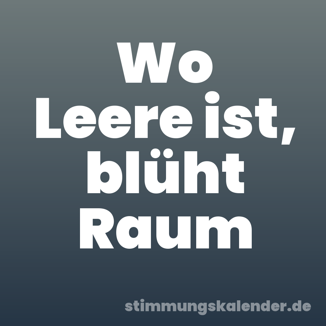 Wo Leere ist, blüht Raum