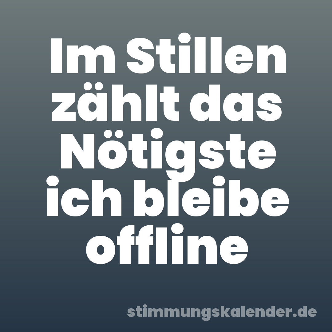 Im Stillen zählt das Nötigste ich bleibe offline