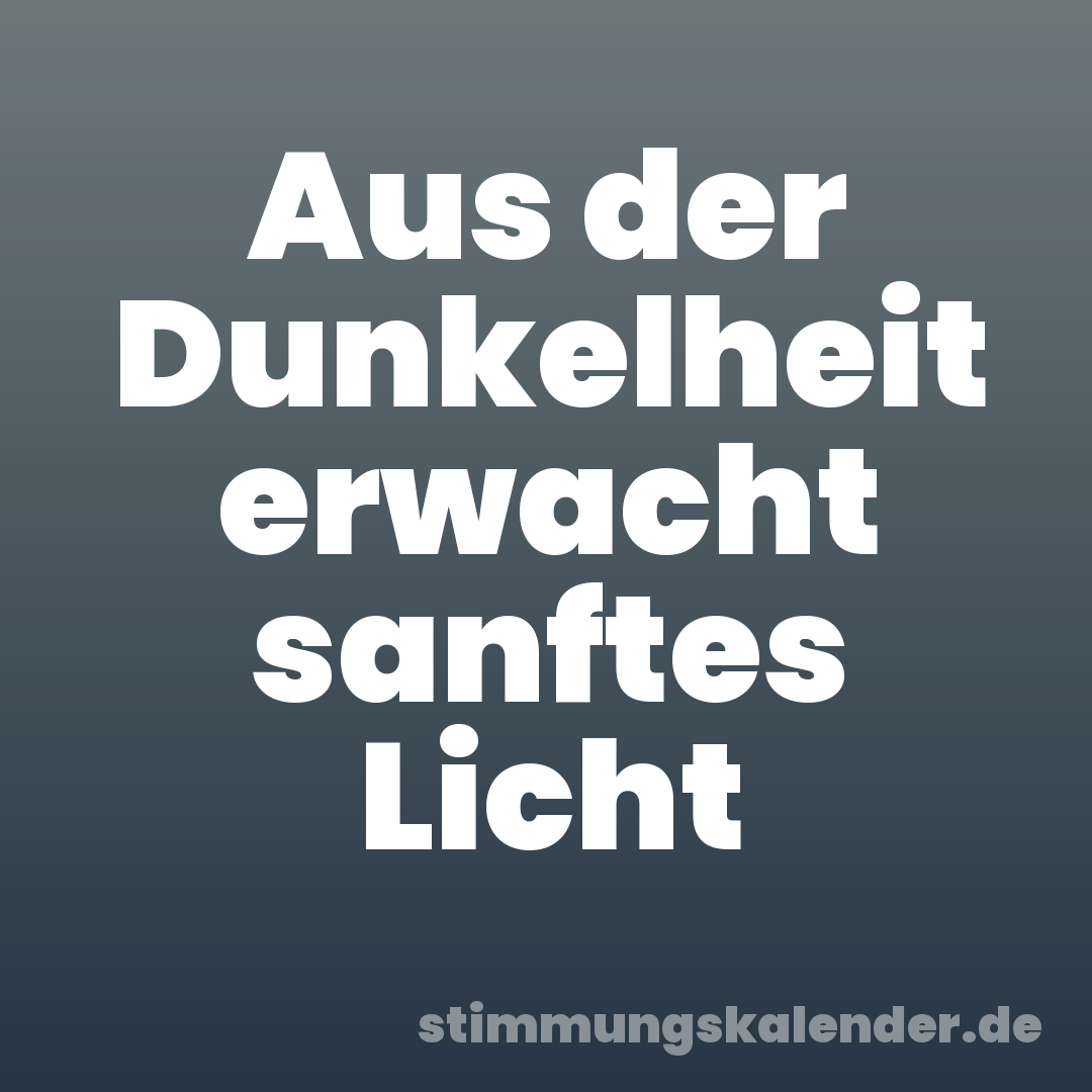 Aus der Dunkelheit erwacht sanftes Licht