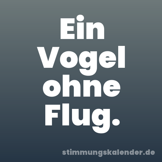 Ein Vogel ohne Flug.