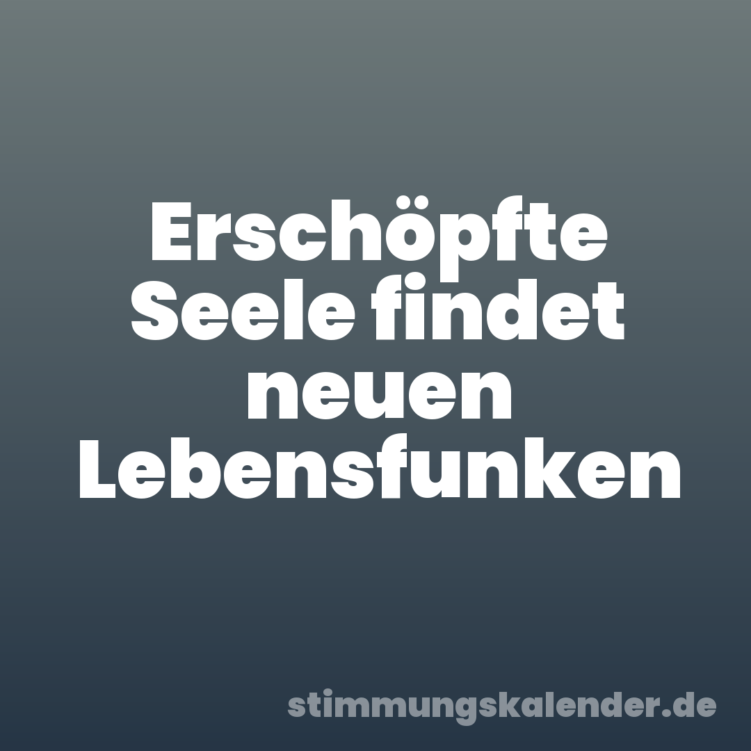 Erschöpfte Seele findet neuen Lebensfunken